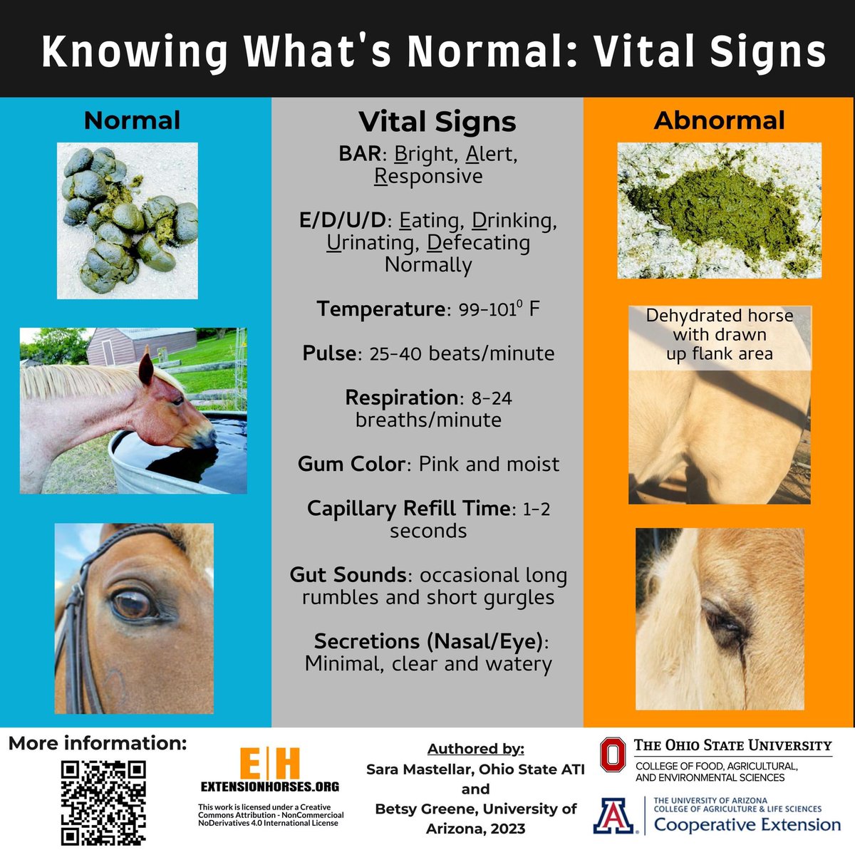 Knowing what is normal when it comes to your horse is so important. If you know what is normal, you’ll be able to tell when something is wrong much quicker.