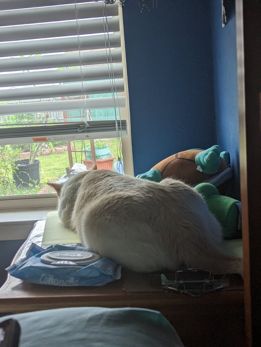 latkitten's tweet image. Flatt fucke fiday, tunkus edition