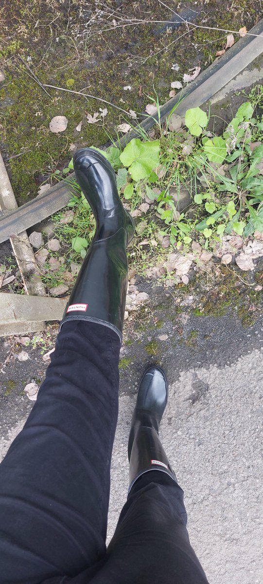 TPL301's tweet photo. Voll auf schwarz, #Gummistiefel #HunterOriginal #tall gloss https://t.co/0tFAly2Gp0