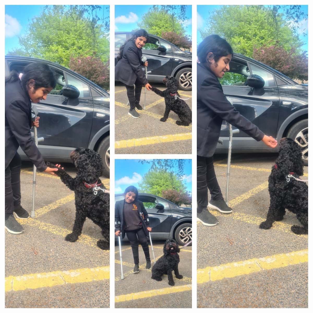 Lambert Felix (he/him) tweet media