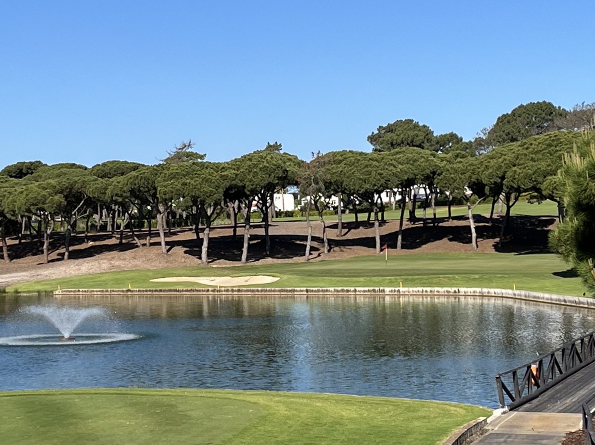 Andy Cook tweet media