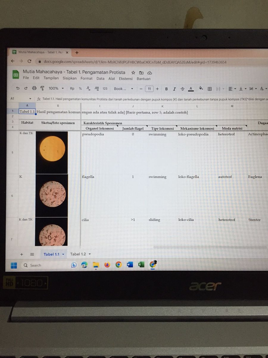extra4shots's tweet image. [2023.05.12] :彡

akhirnya aku olahraga setelah sekian lama wkwk, trs aku ngerjain worksheet praktikum kmrn, abistu nyicil TO sainsin

#mutiastudyprogress #studyprogress #studytwt #studyacc #AMBISVERSE #ambistwt #studymoots