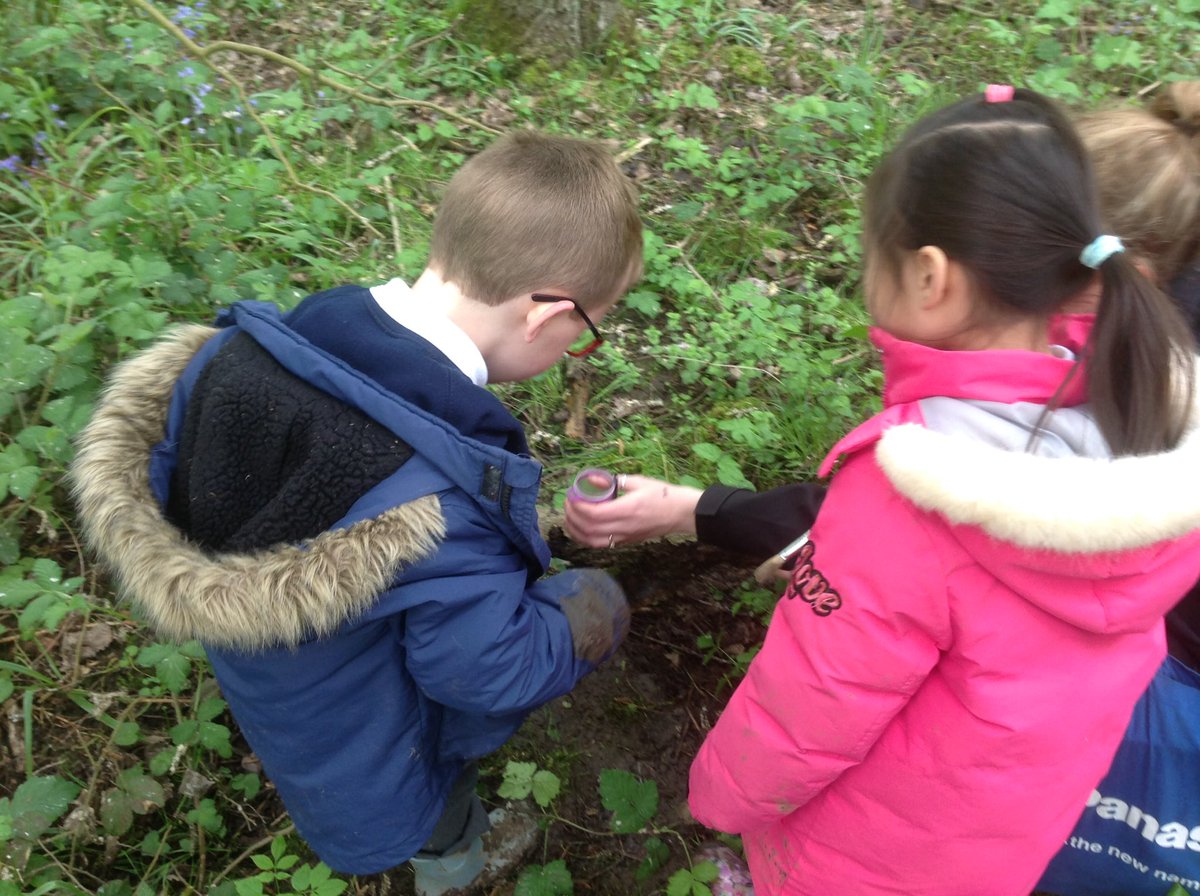 GBS_Foundation's tweet photo. We had a fabulous trip to Howe Park Woods today. Thank you to all of our parent helpers who came with us 😀 https://t.co/cbjpIlqY6R