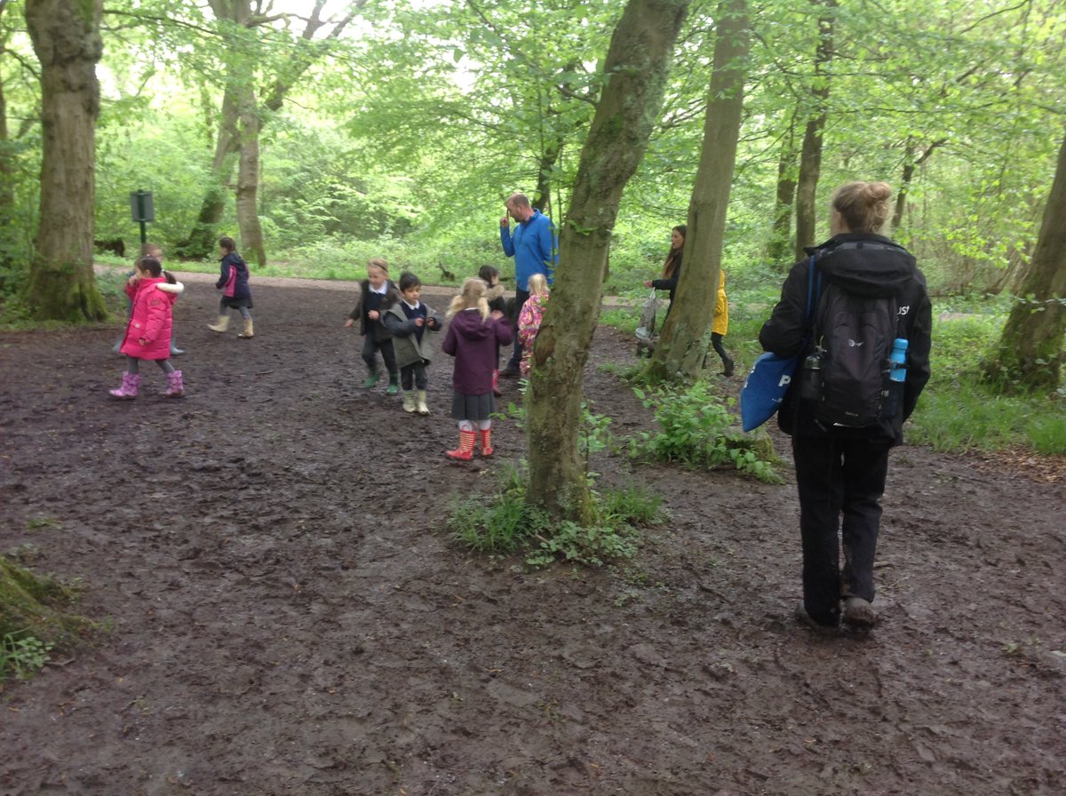 GBS_Foundation's tweet photo. We had a fabulous trip to Howe Park Woods today. Thank you to all of our parent helpers who came with us 😀 https://t.co/cbjpIlqY6R