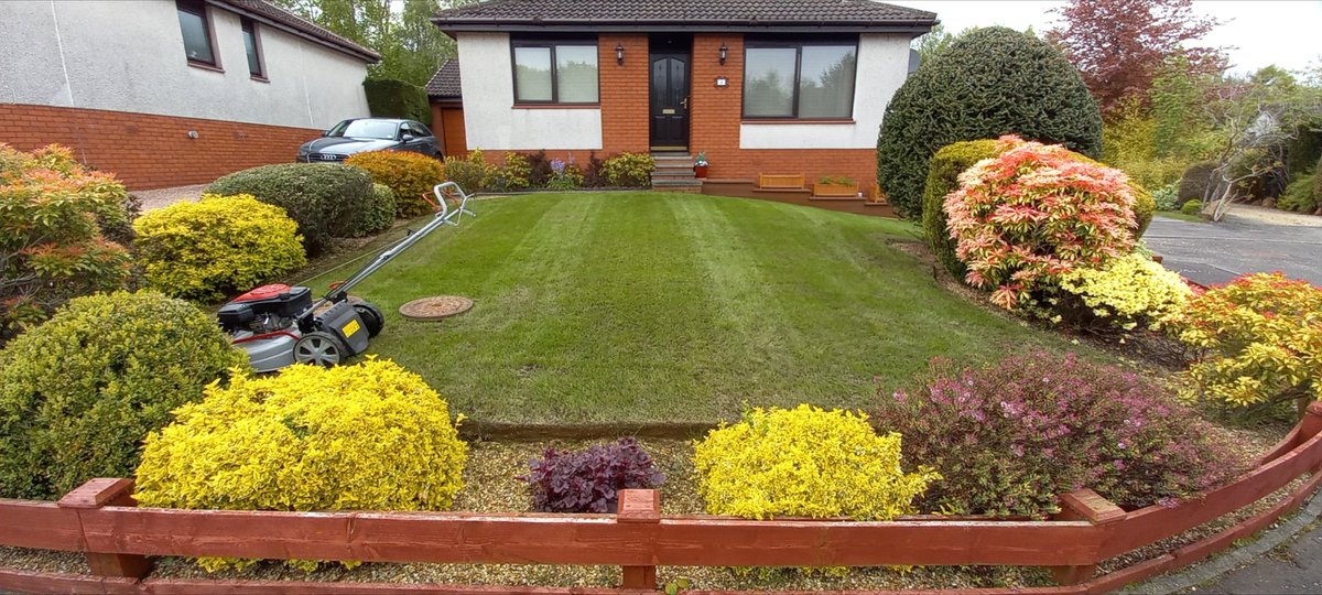 BarclayDave's tweet photo. #patchoftheweek @mowermanjimmy
This week's contender, the dreams still alive ✊️😎 https://t.co/j4fRiaE7bb