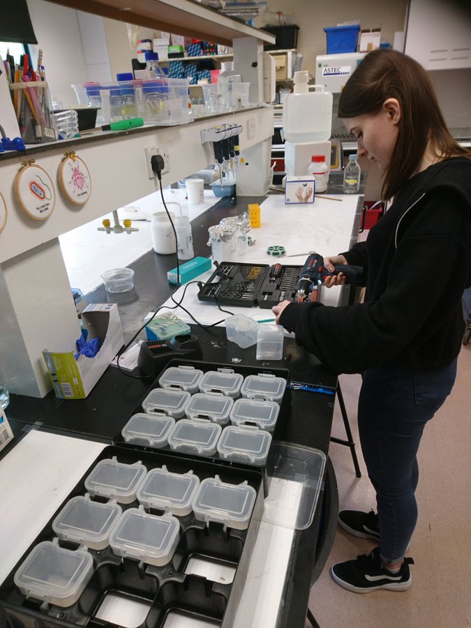 Jim Carolan tweet media