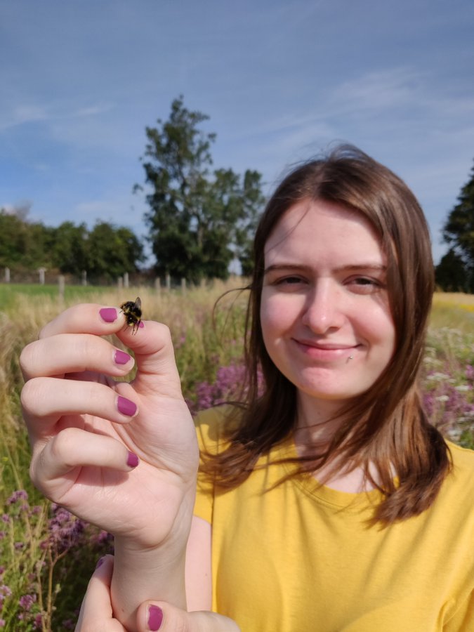 Jim Carolan tweet media