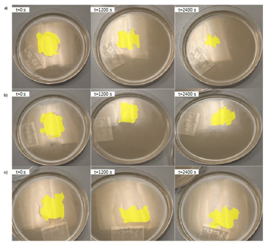 adamjgnoel's tweet photo. We're sharing our first insights into how surface bacteria receive external signals, as part of the EPSRC #SIMBAproject.
https://t.co/imUCSCnemU https://t.co/PETTFioro5