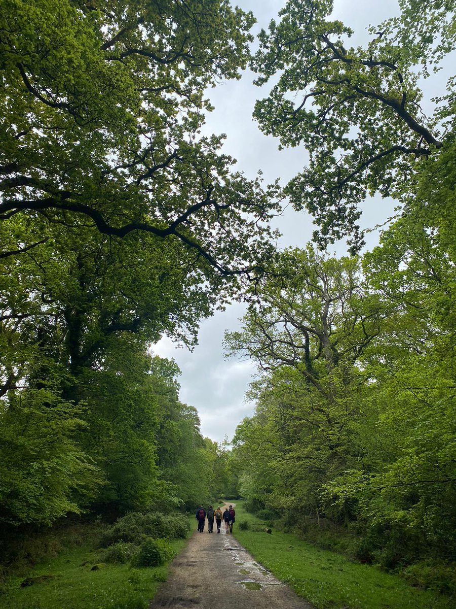 Another great few days in the @NewForestNPA training with new expedition leaders 🌲🌳