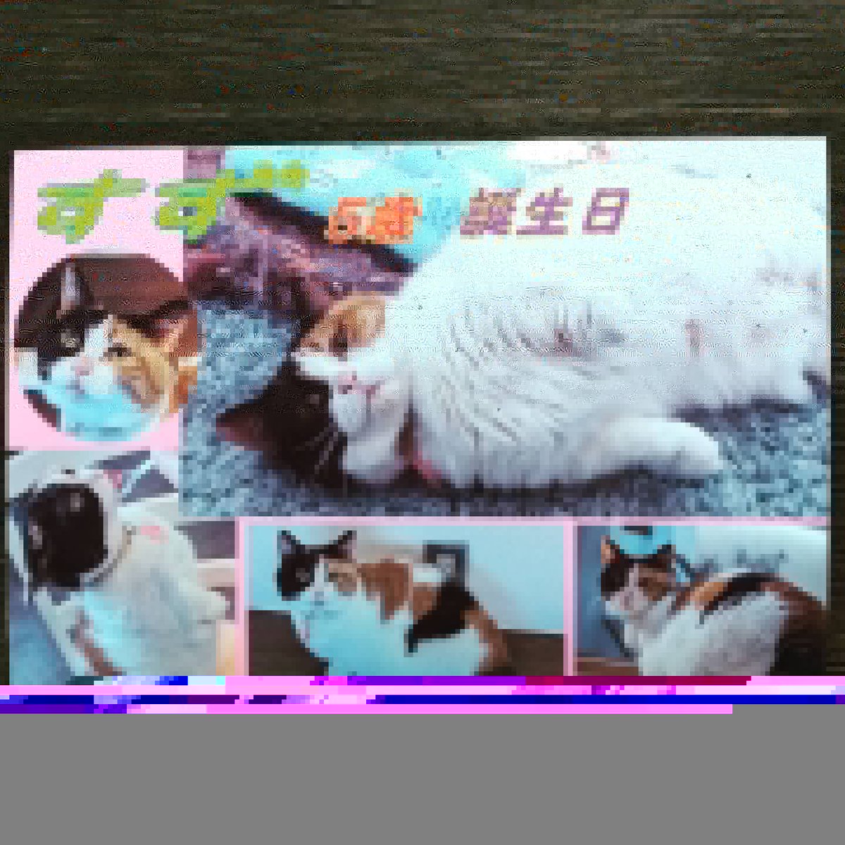 もふもふページ Fv7AgmjaMAETMWd.jpg