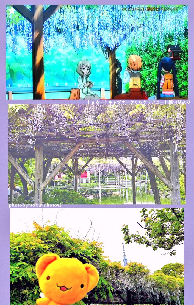 makura古都里🐺🌸(趣味用備忘録)🐻🍠🌸🐝🪄 on X: 