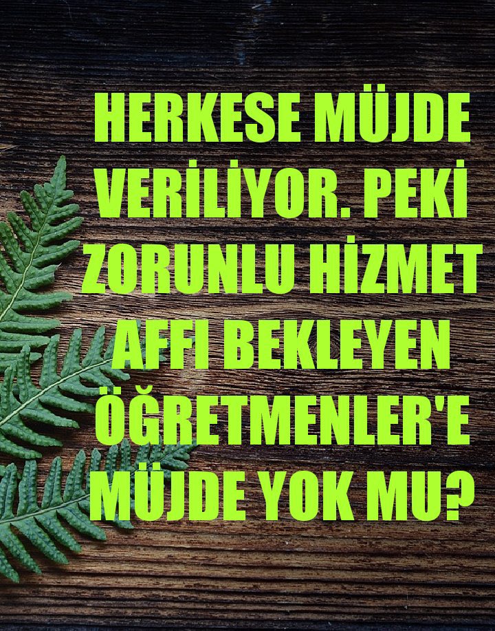 AelyaSu19's tweet photo. @yildirimkaya40 https://t.co/VKAarJj6I3