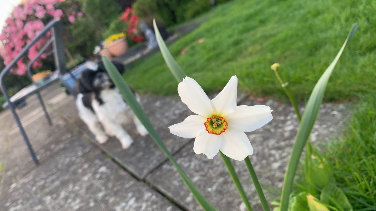 andreamydoherty's tweet photo. @TheMontyDon Feel better soon https://t.co/LJaKPZhyX5