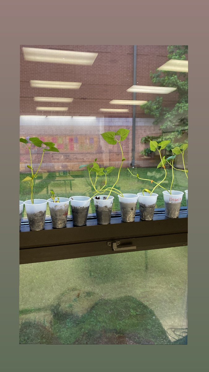 MrsRobertsonREES tweet media