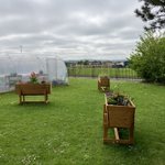 Photo by Linn Primary School (@LinnPrimary)