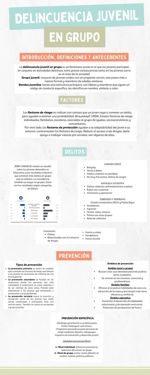 _Natpb_'s tweet photo. #PYTPS_CRIMI23 ¡Aquí tenéis un pequeño resumen de nuestro seminario sobre delincuencia juvenil en grupo, factores a tener en cuenta, delitos más cometidos y como prevenir! https://t.co/K0ekJPTwSb