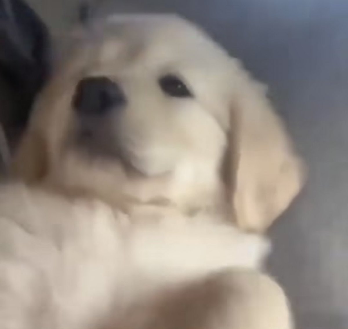 จุ้บอีกจิ