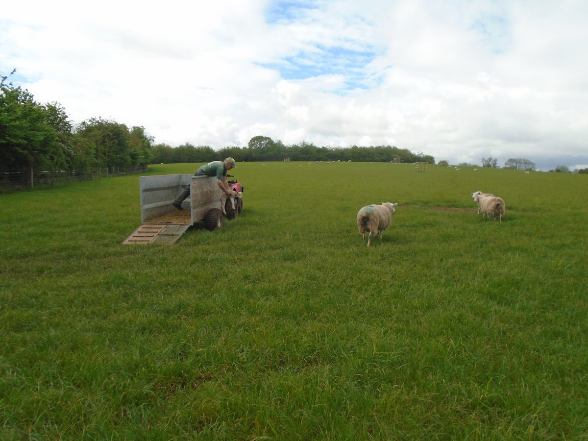 FernPrimary's tweet photo. Dolphins Class had an excellent time at Manor Organic Farm. https://t.co/W3gJQgFOEl