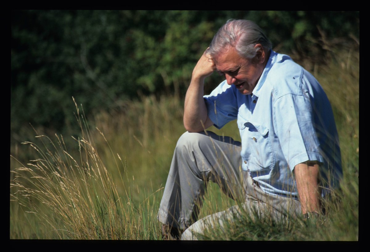 This photo was taken on my first shoot with DA, 24 years ago at Box Hill in Surrey. I still remember the script word for word!

Happy Birthday David Attenborough! #davidattenborough #biodiversity #conservation