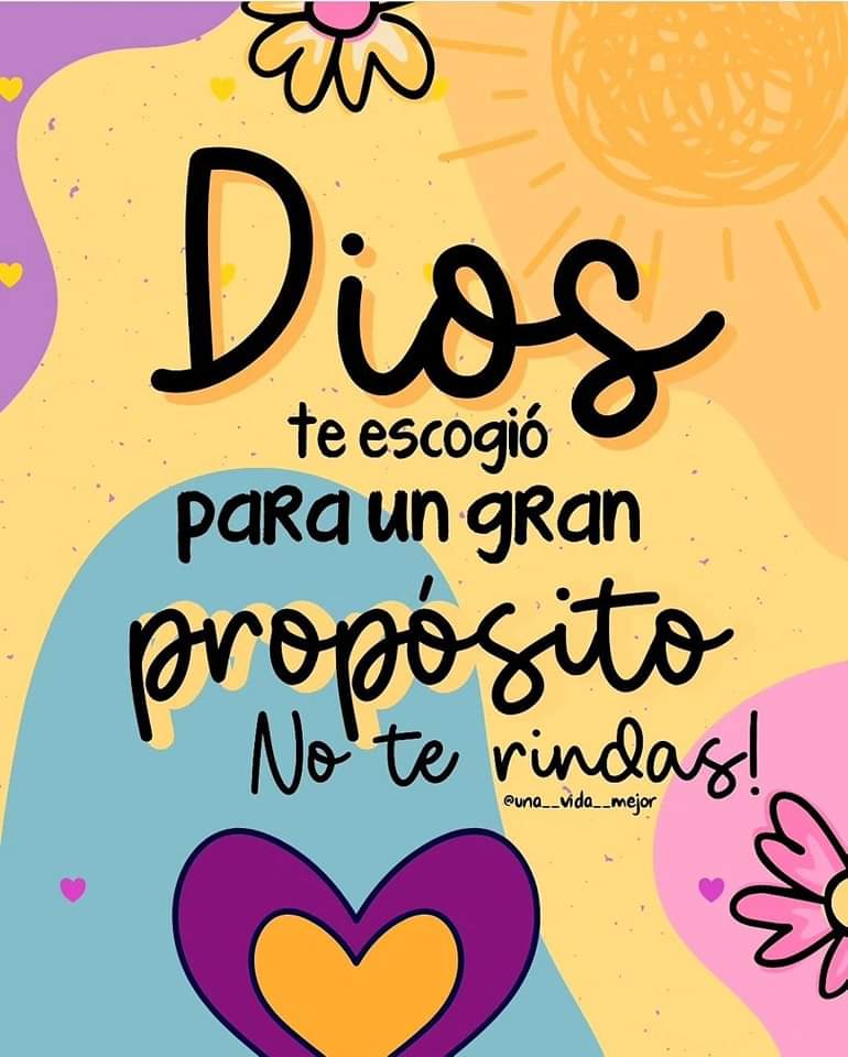 ¡VAMOS!