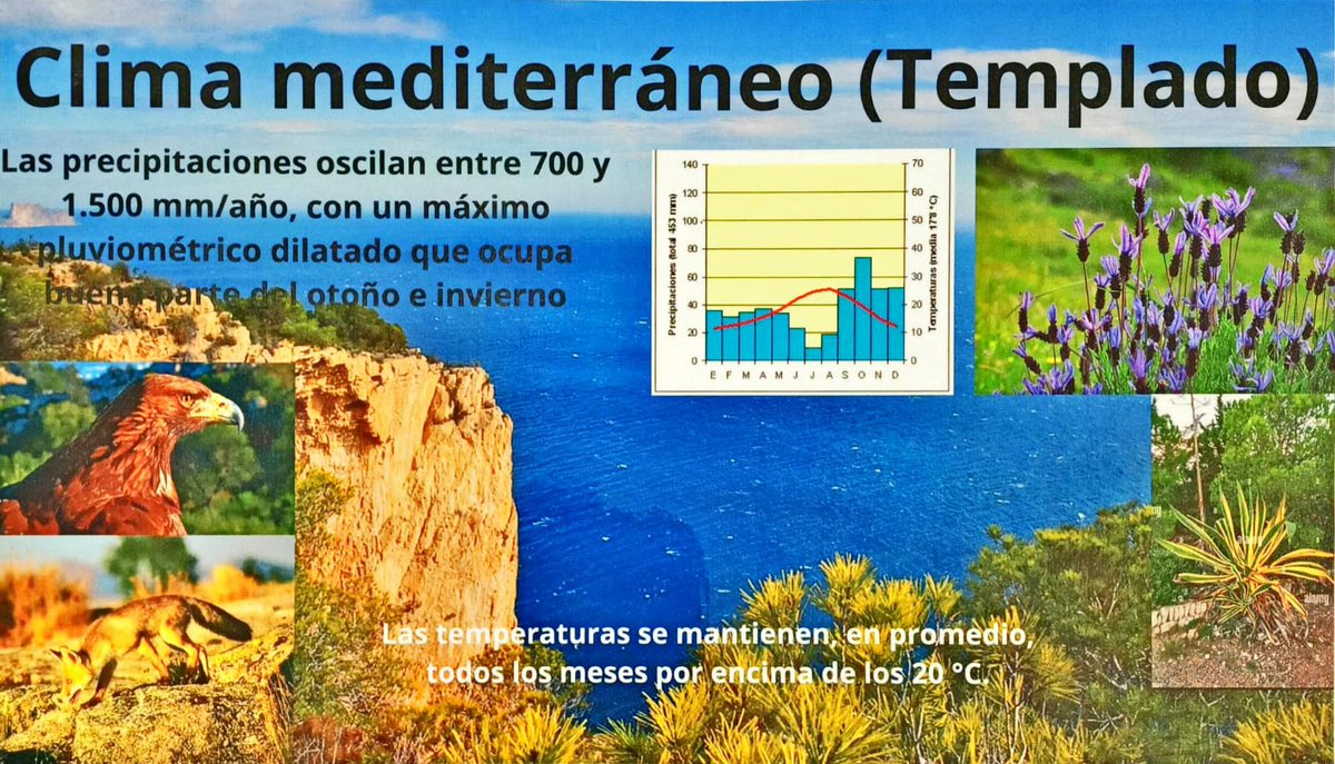⛱️Nuestros alumnos de 1.ºESO nos enseñan como son los climas del planeta.
😎Y saludan casi al verano con este final de proyecto.

Espero que hayáis disfrutado del mismo.

#ClimaCLIPH #ecología #cocienciación