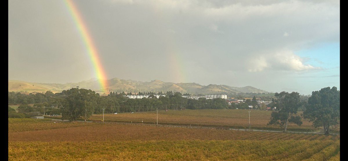 JAdamsSSDD's tweet image. My home hood..Rowland Flat. Wineries &amp;amp; Vines…#barossavalley #saproud #saheapsgood