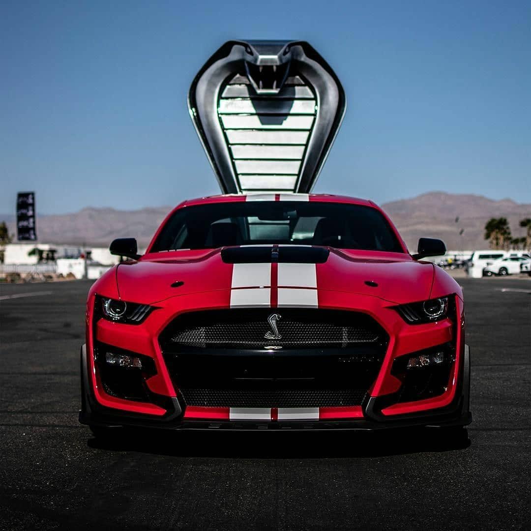 Cobra3dD's tweet photo. “ Frontend Friday Feeling “ https://t.co/wijX0yaFFG
