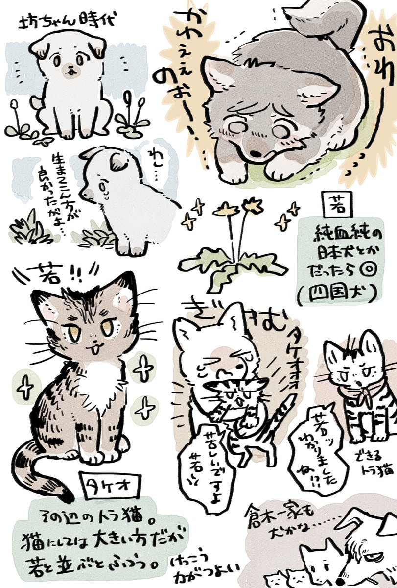 我慢できなかったやつ