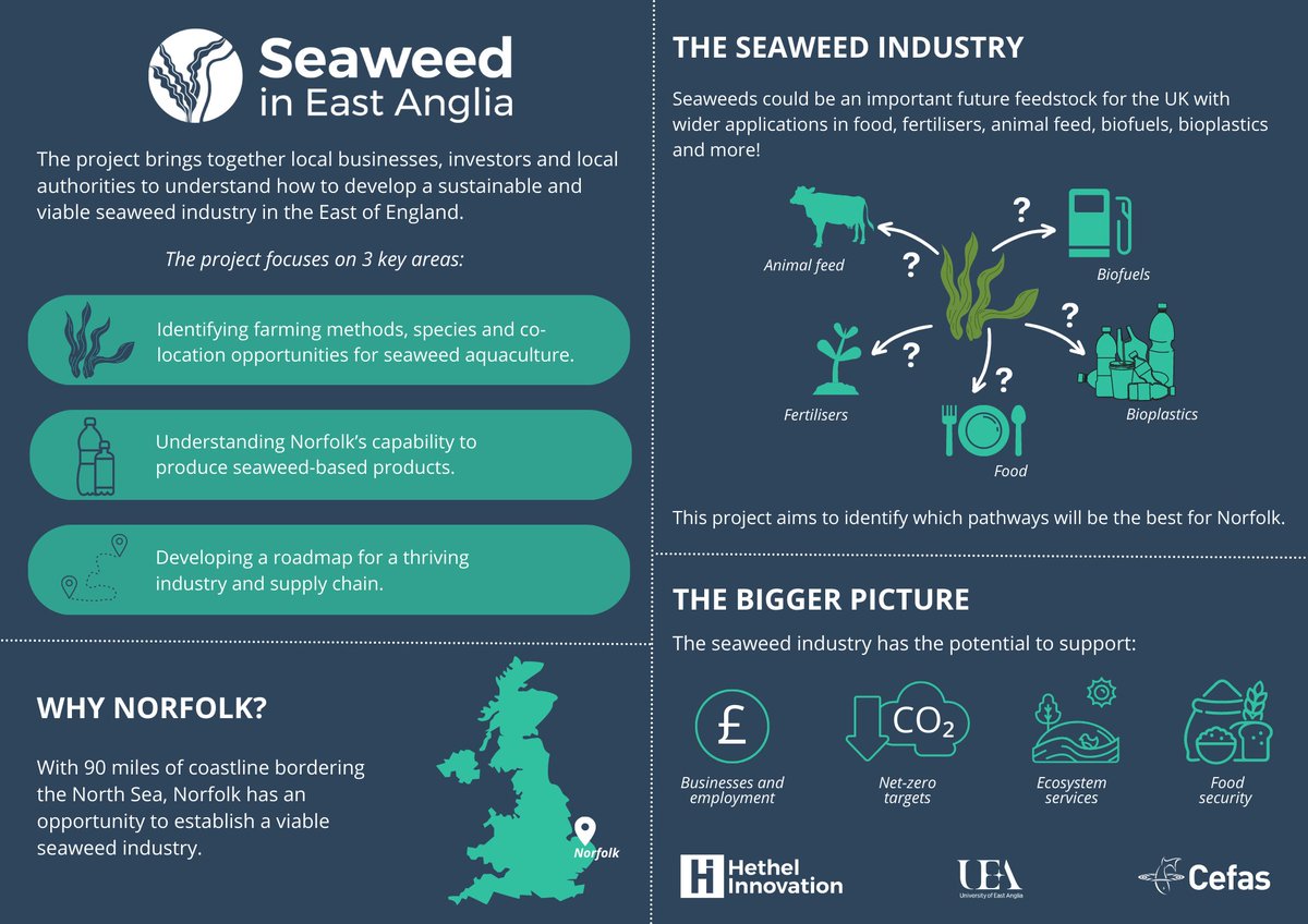 CefasGovUK's tweet photo. The Seaweed in East Anglia (SEA) project is a new project in collaboration with @uniofeastanglia and @HIL_Updates that aims to identify the steps needed to develop the seaweed industry in Norfolk @NorfolkCC
Learn more: https://t.co/Pwlnf6XARL
#CefasScience #SustainableAquaculture https://t.co/njpXAGkpA5