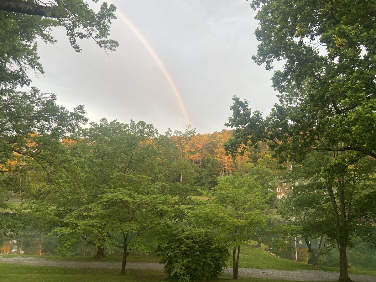 Matthew Peer tweet media