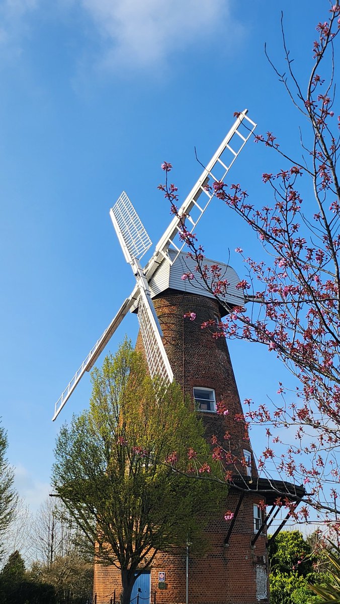 Come and celebrate National Mills Weekend with a visit to Rayleigh Windmill on Sunday 14 May, 1-4pm. Learn more about our majestic 214 year old Windmill, and see the work of local artist Stuart Belton!  #NationalMillsWeekend orlo.uk/ZyC9M