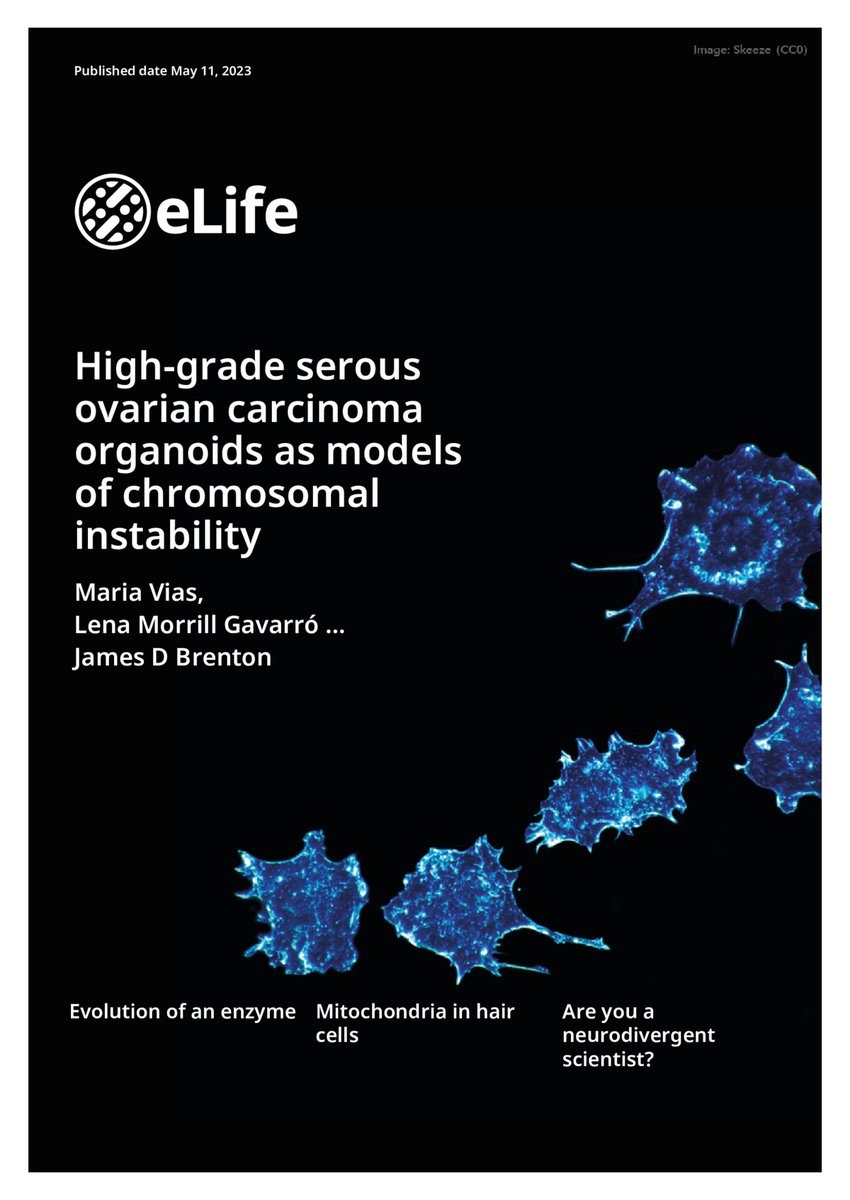 Lena Morrill tweet media