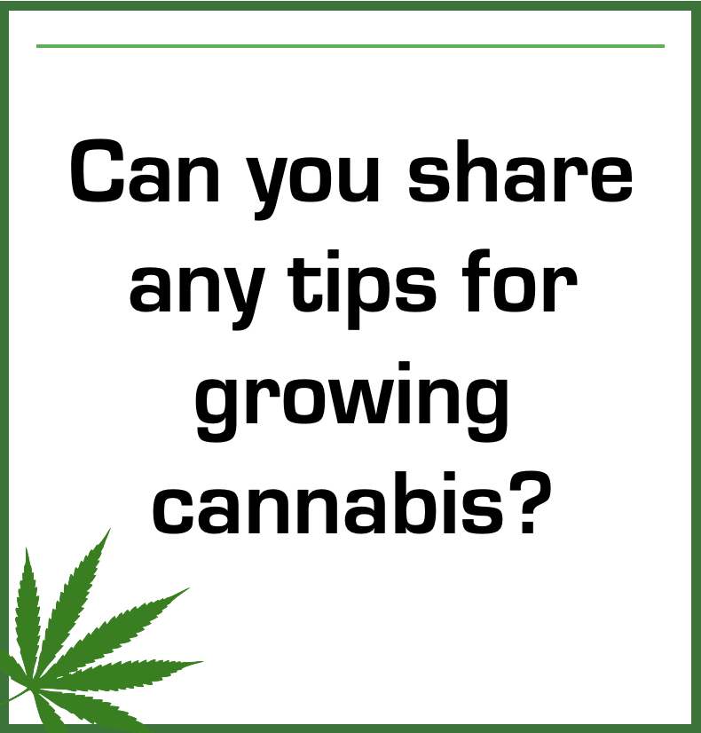 cannabishub's tweet image. 👨‍🌾 + 👩‍🌾 = 💚