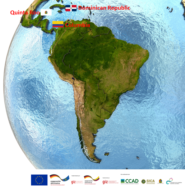 SeariousBiz's tweet photo. We'll be working with @MyVYTAL on the #ProUSAR and #CaribeCircular projects implemented by #GIZ, Launching a digital system for reusable packaging in the restaurant industry in Latin America.
Follow us to keep up to date.
@BMZ_Bund @EU_Commission https://t.co/ENXTHuKoiK