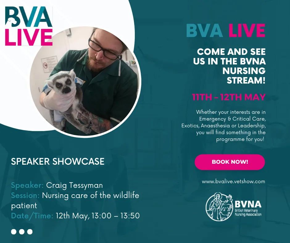 ExoticRvn's tweet photo. At BVA Live again today.
Talking about nursing care of the wildlife patient at 13.00 at the @bvnauk
#VNAM2023 #empowerourVNs #WhatVNsDo #BVALive https://t.co/pFGyHmdZv1