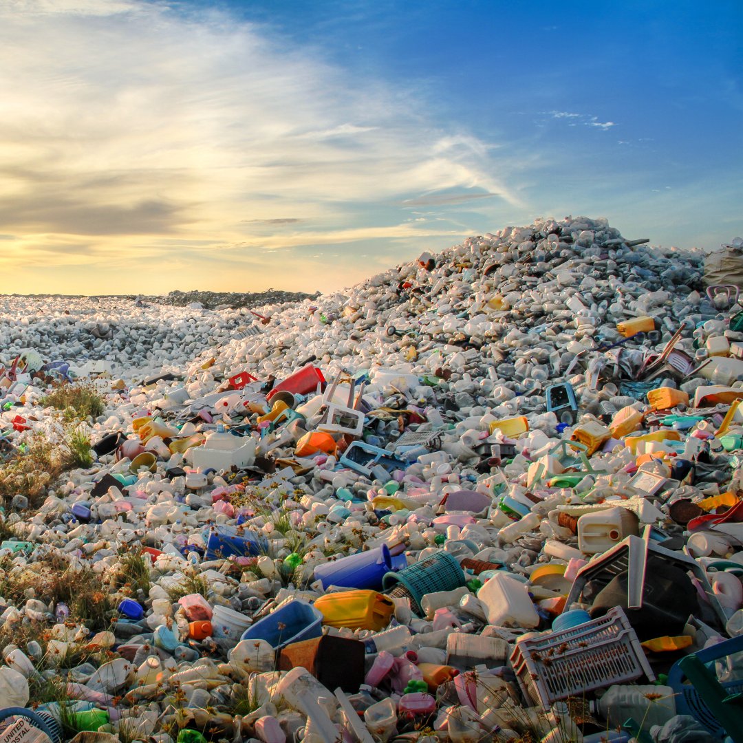 Plastic pollution is choking our rivers and oceans.

To #StopPlasticPollution, the #PlasticsTreaty must include global bans on the most harmful plastic products.

So how can we make that happen? panda.org/plastictreaty