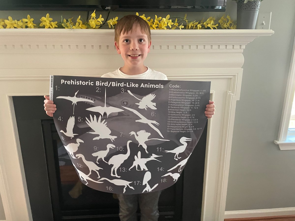 My 10yo made himself a poster using images from <a href="/PhyloPic/">@phylopic@sauropods.win</a>