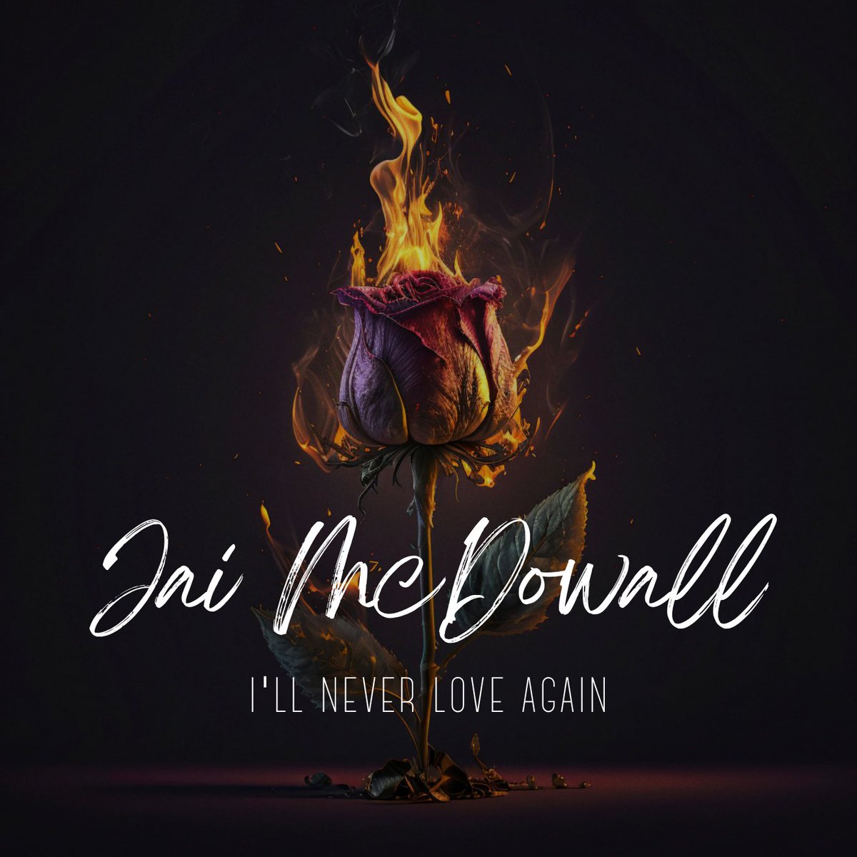 Jai McDowall tweet media