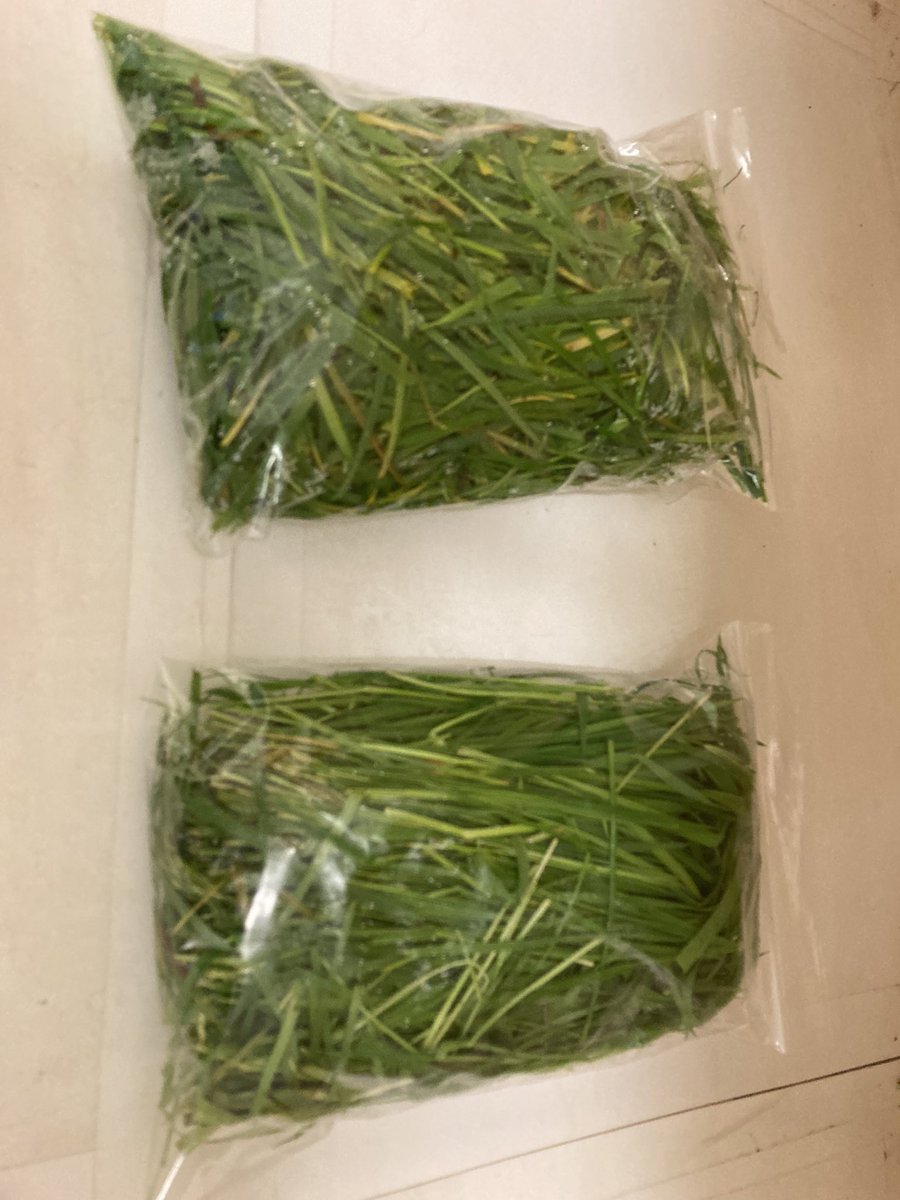IASLabs's tweet photo. @JerryMoloney1 Couple of grass samples in the lab today- Nitrates of 85 mg/L, and sugars at 2%.

Lack of sunshine in certain parts of the country showing low sugars! #silage23 https://t.co/Fp1cgh42GR