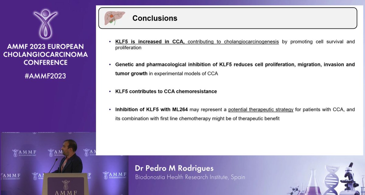 Very promising preclinical data presented by @PMRodrigues19 of @Biodonostia on the potential of KLF5 inhibition as a novel target for #cholangiocarcinoma #AMMF2023 #LiverTwitter #LiverCancer #CCA