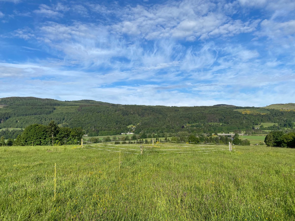Powered Pasture (@poweredpasture) on Twitter photo Looking at sub-dividing your larger fields into smaller paddocks this year, but not sure where to start with gateways? 
The Powered Pasture-designed central gate system helps provide ease of livestock flow from paddock to paddock, saving you and your team time this grazing season Looking at sub-dividing your larger fields into smaller paddocks this year, but not sure where to start with gateways? 
The Powered Pasture-designed central gate system helps provide ease of livestock flow from paddock to paddock, saving you and your team time this grazing season