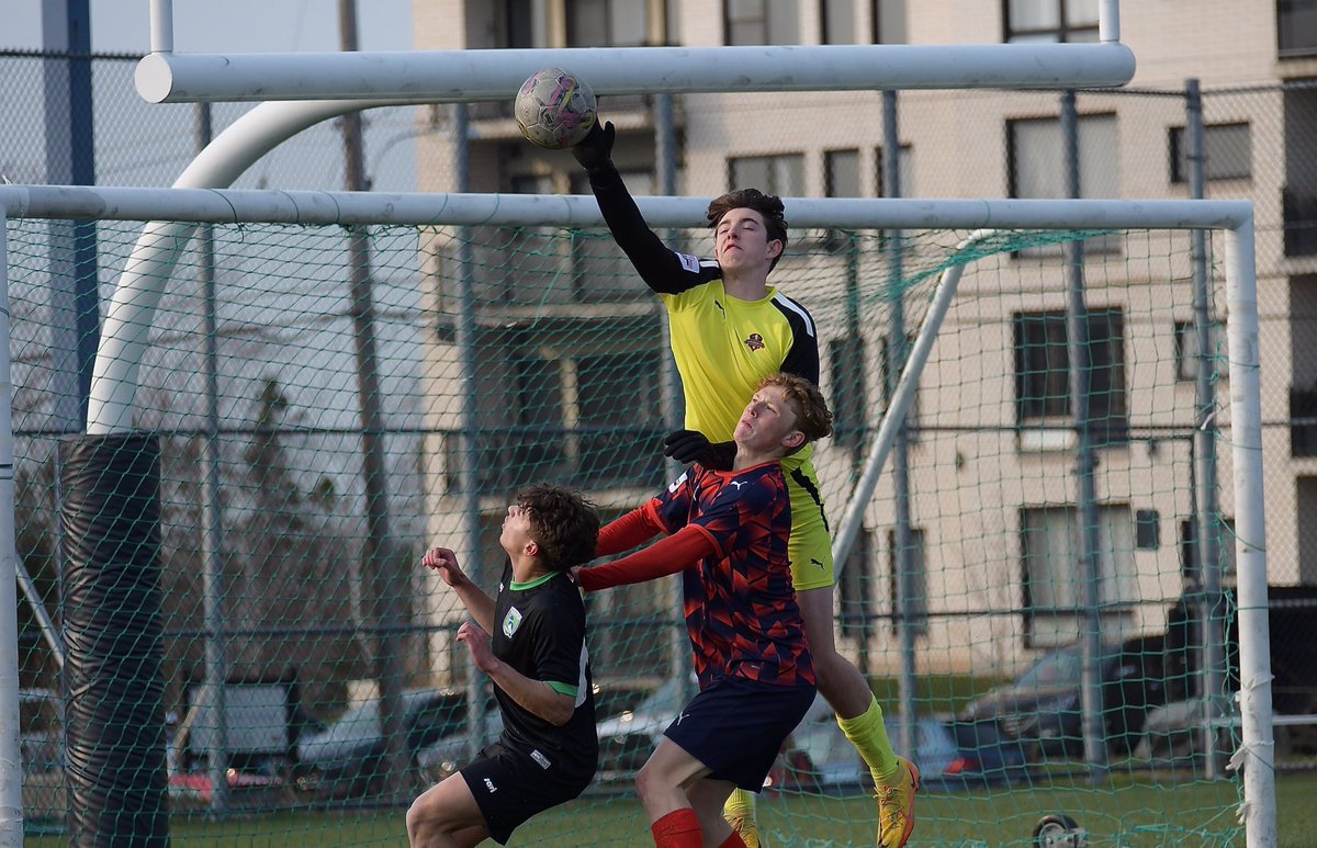 DW Photo tweet media