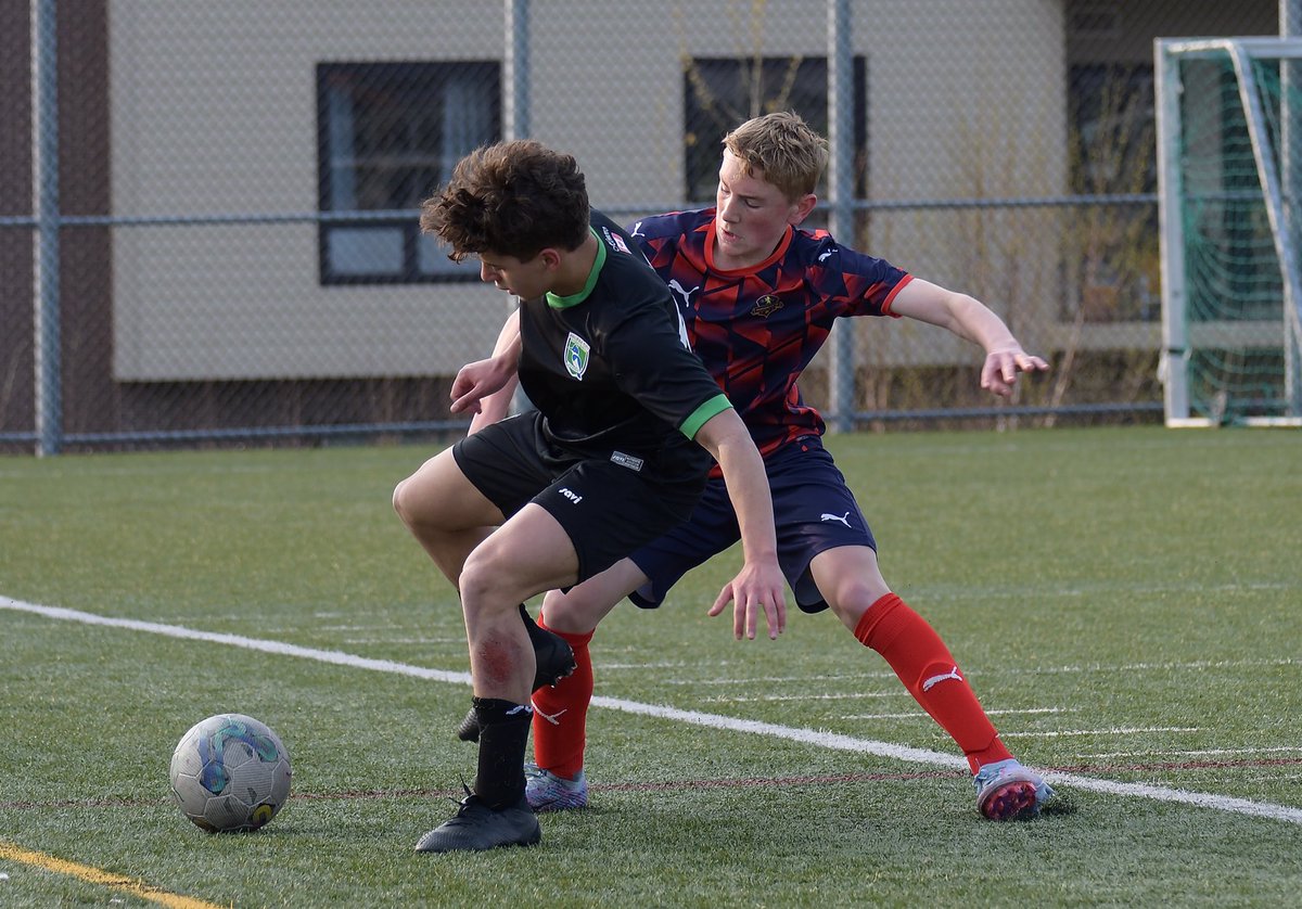 DW Photo tweet media