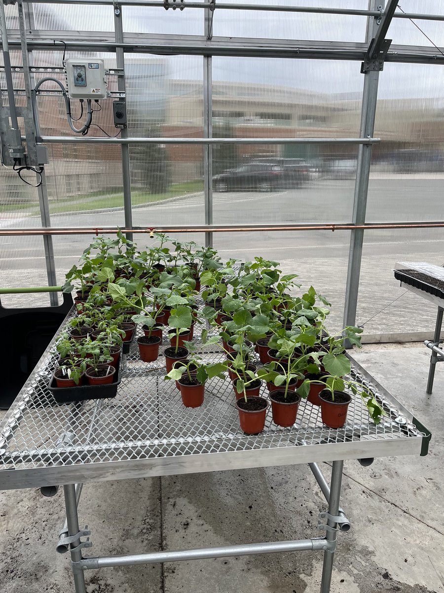 West Springfield Public Schools tweet media