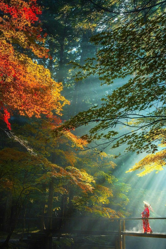 DavideKile's tweet photo. “Untitled“ di Monthany Bahterazar. https://t.co/p7aFyEmBdx