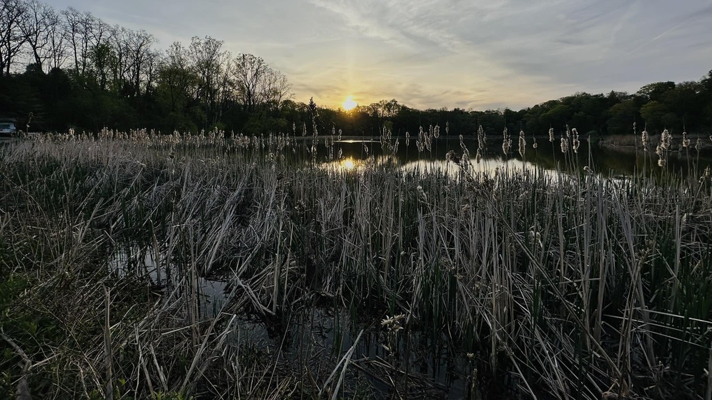 terrydebono's tweet photo. Good morning from the wetlands. :-) https://t.co/4c11wBGb0l https://t.co/AdcTi2kqBF