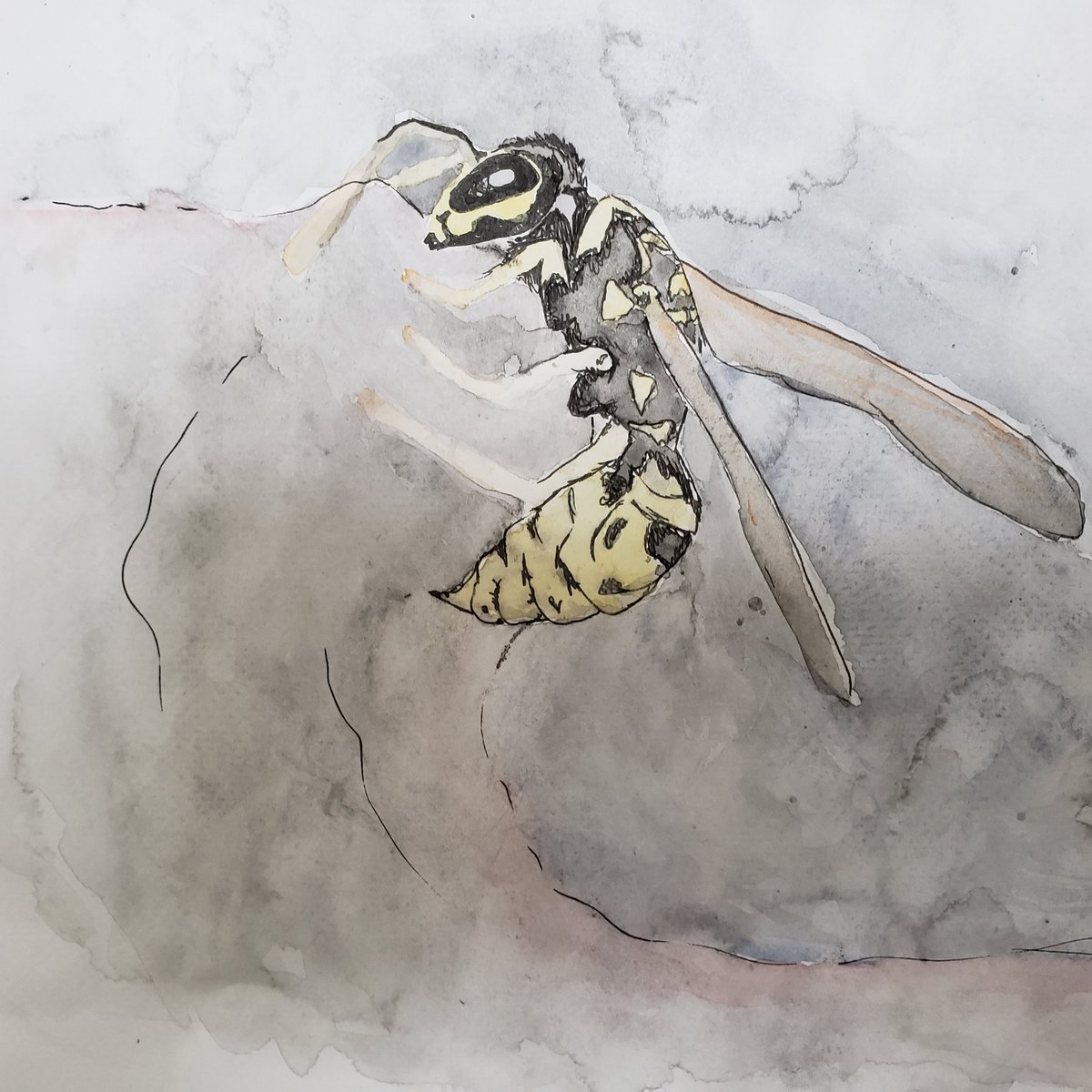 My Wasp 1/1 #NFTartist #nftwomen