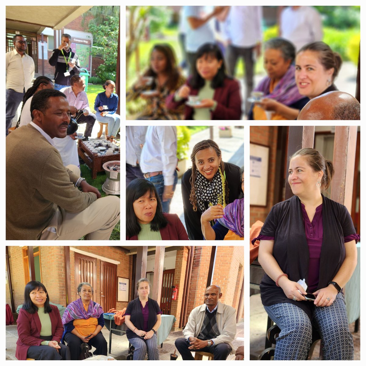 rahel1208's tweet image. Happening now: Internal meeting and networking between colleagues in #Ethiopia and @CIMMYT HQ office  #BusinessProcessImprovement #ExcellenceInOperations #CIMMYT2030Strategy