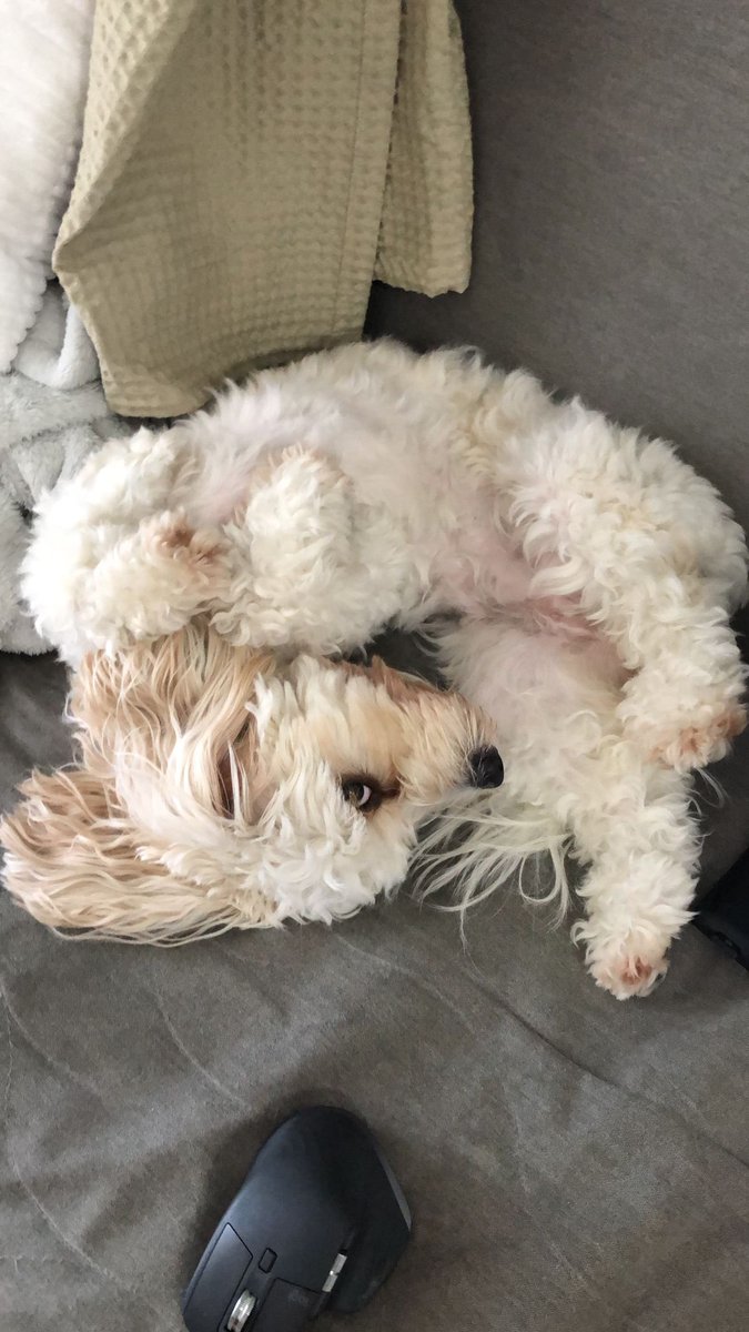 singaporepoliceforce.eth tweet media