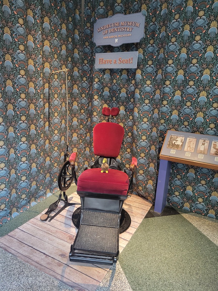 DuckContinue's tweet photo. Clean bill of health #SindecuseMuseumOfDentistry @UMichDentistry https://t.co/9Tvx1lymjQ